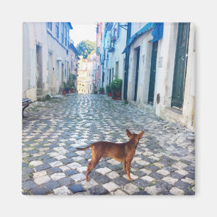 Aimant Lisbonne Puppy's Street View Portugal Photo