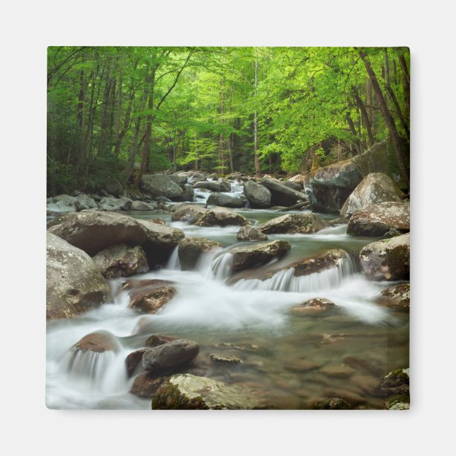 Aimant Little Pigeon River at Greenbrier (Devant)