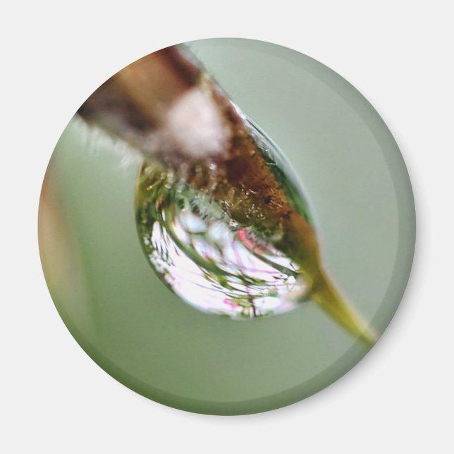 Aimant Little World Water Droplet (Devant)