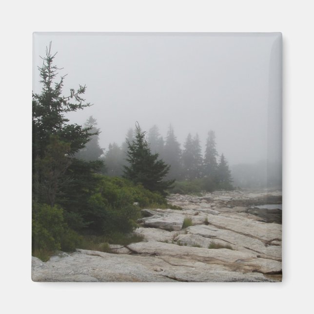 Aimant littoral (Devant)