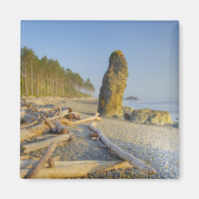 Aimant Littoral et stacks, Ruby Beach, Olympic (Devant)
