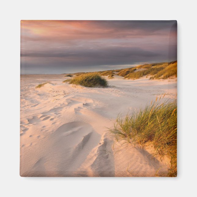Aimant Littoral | Saltum Beach, Danemark (Devant)