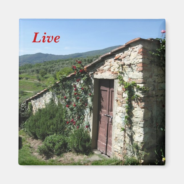 Aimant Live (Devant)