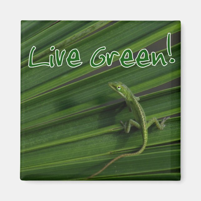 Aimant Lizard vert en direct (Devant)