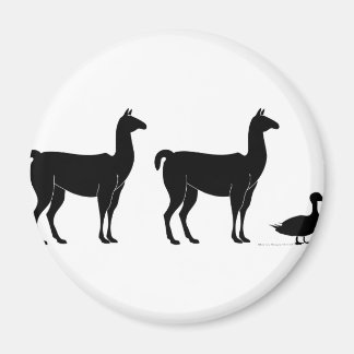 Aimant Llama, Llama, Canard