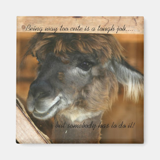 Aimant Llama Trop mignonne Amant Animal Drôle