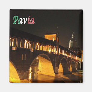 Aimant LMD045 PAVIA Le pont couvert de nuit, Réfrigérateu