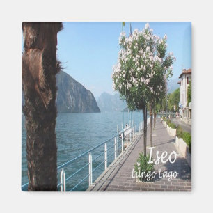 Aimant LMD080 ISEO, Promenade, Italie, Frigo