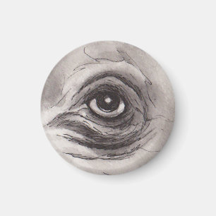 Aimant L'Œil de l'Hippopotame – Collection Regards