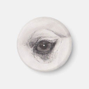 Aimant L'Œil du Chameau – Collection du Regard