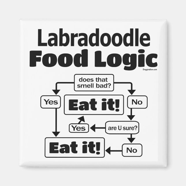 Aimant Logique alimentaire du Labradoodle (Devant)