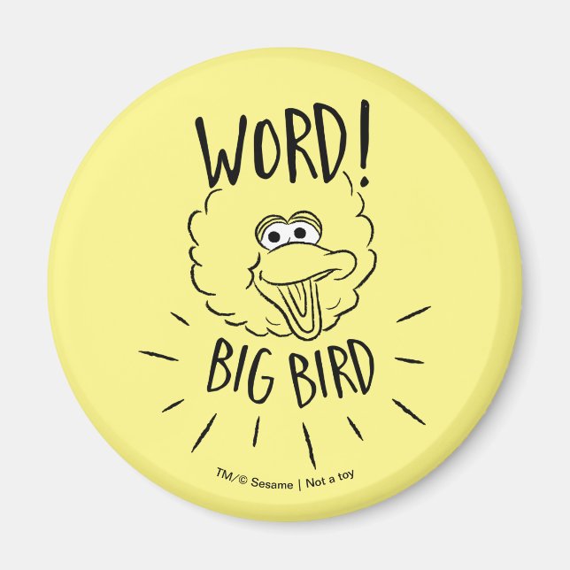 Aimant Logo Big Bird Skate - Mot ! Big Bird (Devant)