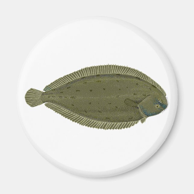 Aimant Logo de poisson unique (Devant)