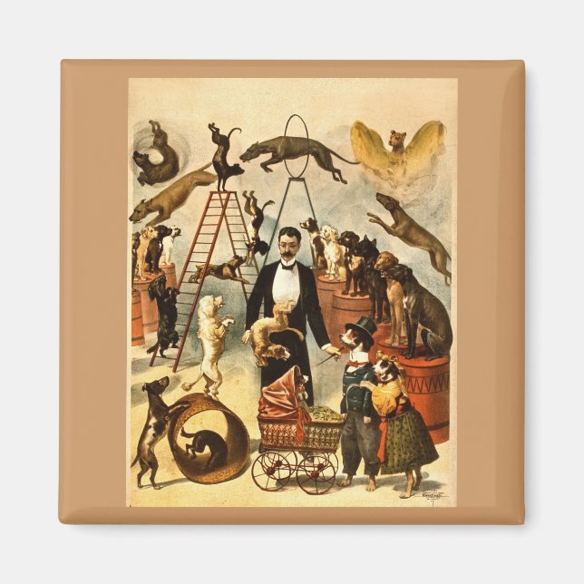 Aimant Loi de 1899 sur les chiens entraînés - Poster de l (Devant)