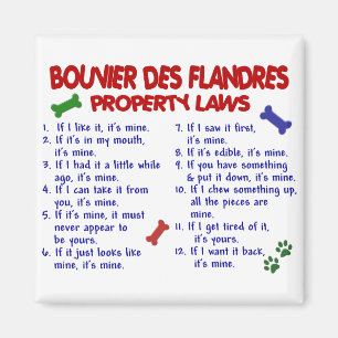 Aimant Lois 2 de propriété de DES FLANDRES de BOUVIER