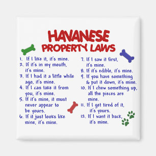 Aimant Lois 2 de propriété de HAVANESE