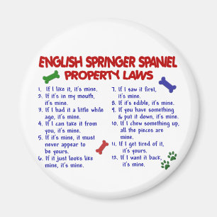 Aimant Lois 2 de propriété d'ÉPAGNEUL de SPRINGER ANGL