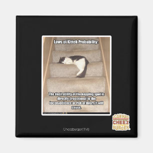 Aimant Lois de la probabilité de Kitteh