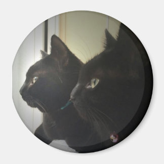 Aimant loking out the window