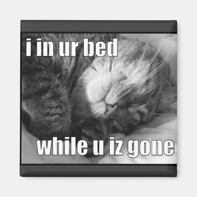 Aimant LOLCat 1 (Devant)