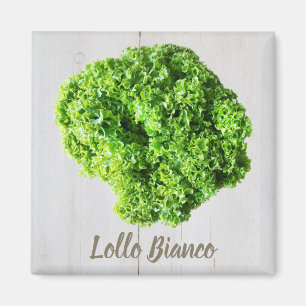 Aimant Lollo Bianco Salade feuilles de laitue pour Vegas