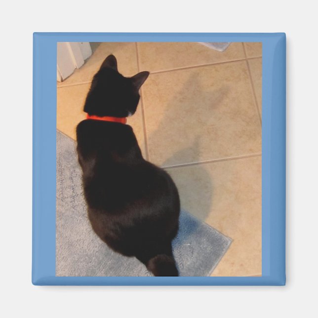 Aimant L'ombre de Lucy (Devant)