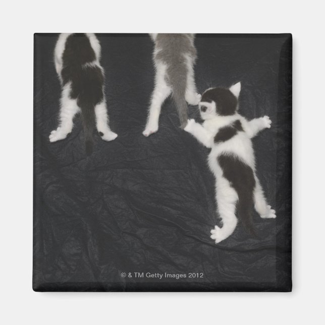 Aimant Londres, Angleterre, Royaume-Uni 2 (Devant)