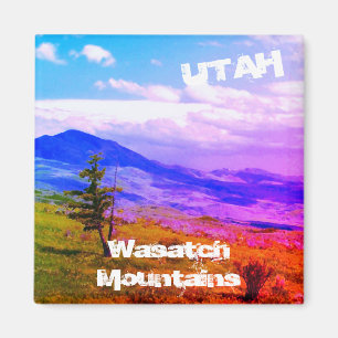 Aimant "Lone Cedar" Wasatch Mountains, Utah Landscape