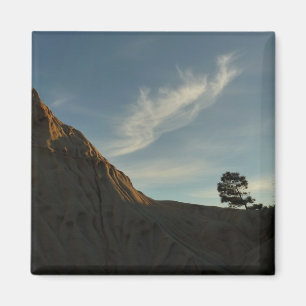 Aimant Lone Torrey Pine Californie Sunset Paysage