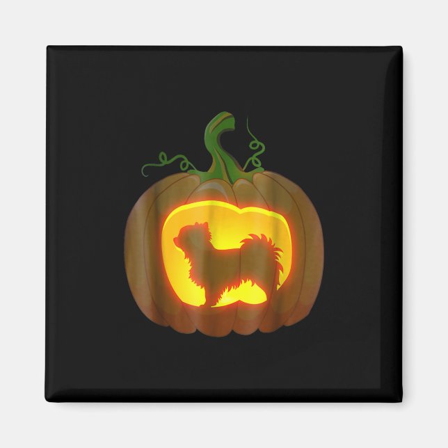 Aimant Long Haired Chihuahua Halloween (Devant)