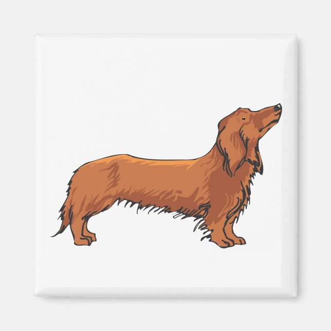 Aimant Long Haired Dachshund (Devant)