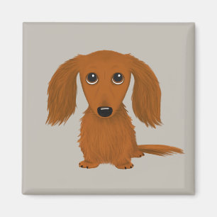 Aimant Long Haired Dachshund Doxie mignon chien de dess