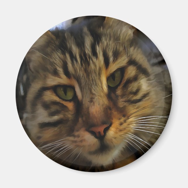 Aimant Long Haired Tabby Chat Artistique Portrait d'anima (Devant)