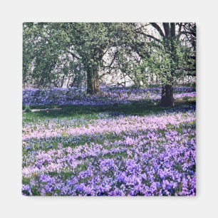 Aimant Longwood Gardens au printemps