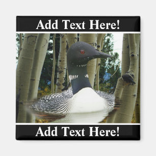 Aimant Loon sauvage