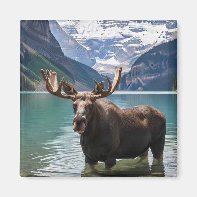 Aimant L'orignal dans le parc national Banff Canada (Devant)