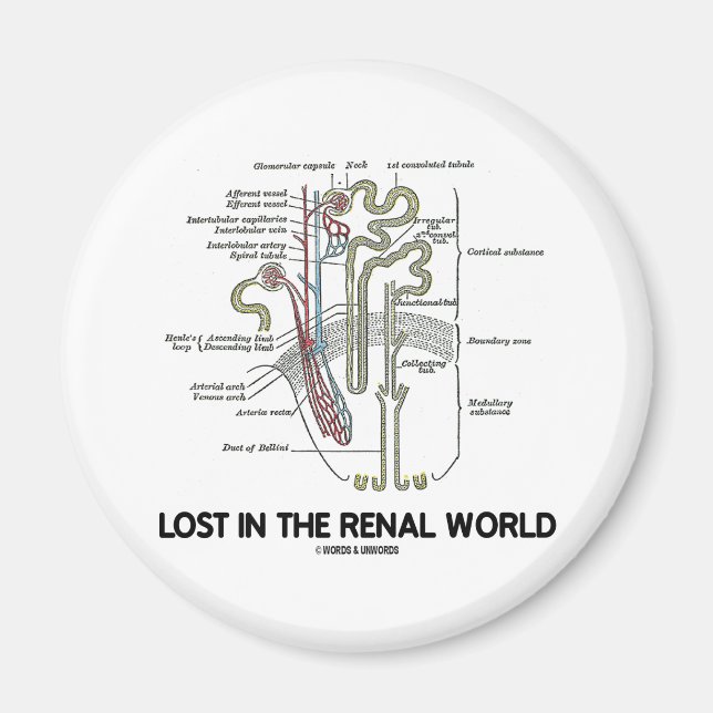 Aimant Lost In the Renal World (Devant)