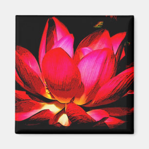 Aimant Lotus