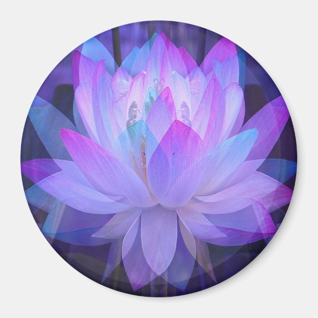 Aimant Lotus en bleu... (Devant)