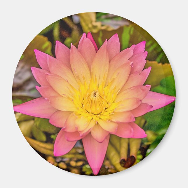 Aimant Lotus Flower of Life (Devant)