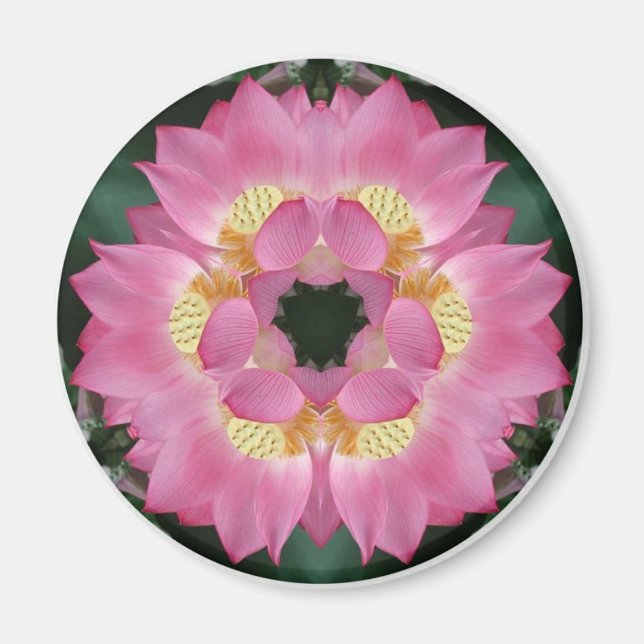 Aimant Lotus Starburst (Devant)