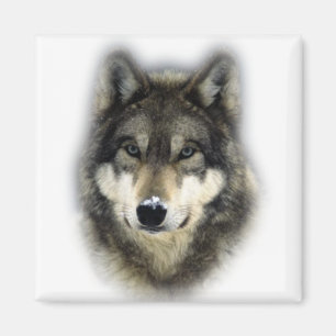 Aimant Loup