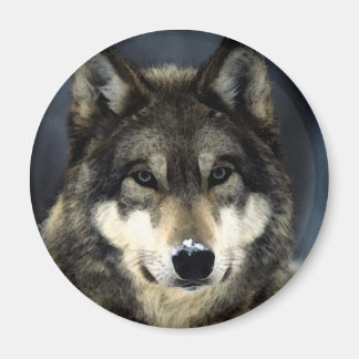 Aimant Loup