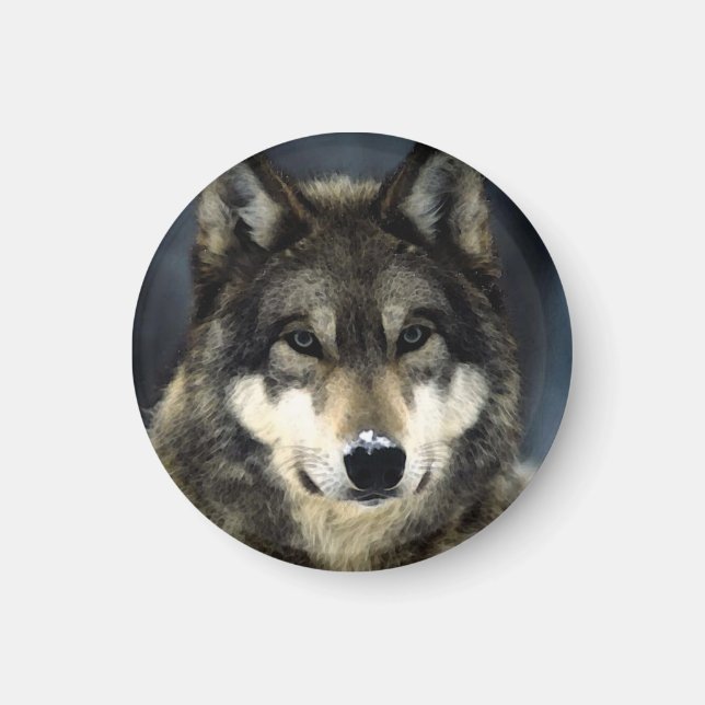 Aimant Loup (Devant)