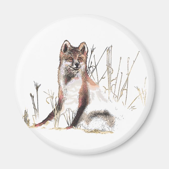 Aimant Loup d'hiver (Devant)