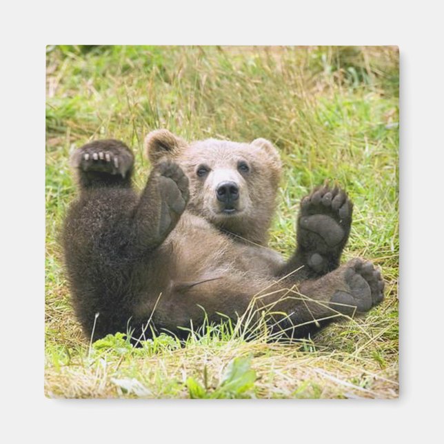 Aimant L'Ours Brown Lazy (Devant)