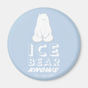 Aimant L'Ours De Glace Connaît