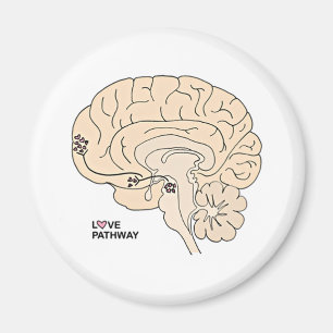 Aimant Love Pathway : L'amour dans le cerveau