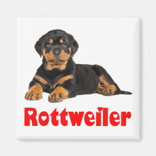 Aimant Love Rottweiler Dessin de Chien Brown et Noir