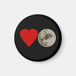 Aimant Love Thai Green Curry ... Thaïlande